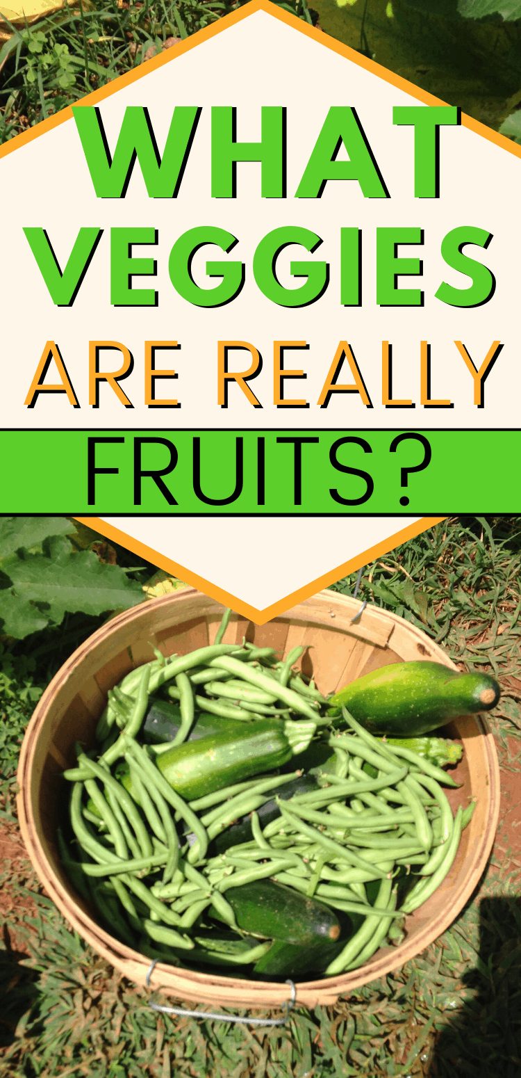 pinterest image for 'what vegetables are actually fruits' with basket of green beans and zucchini. text reads, "what veggies are really fruits?"