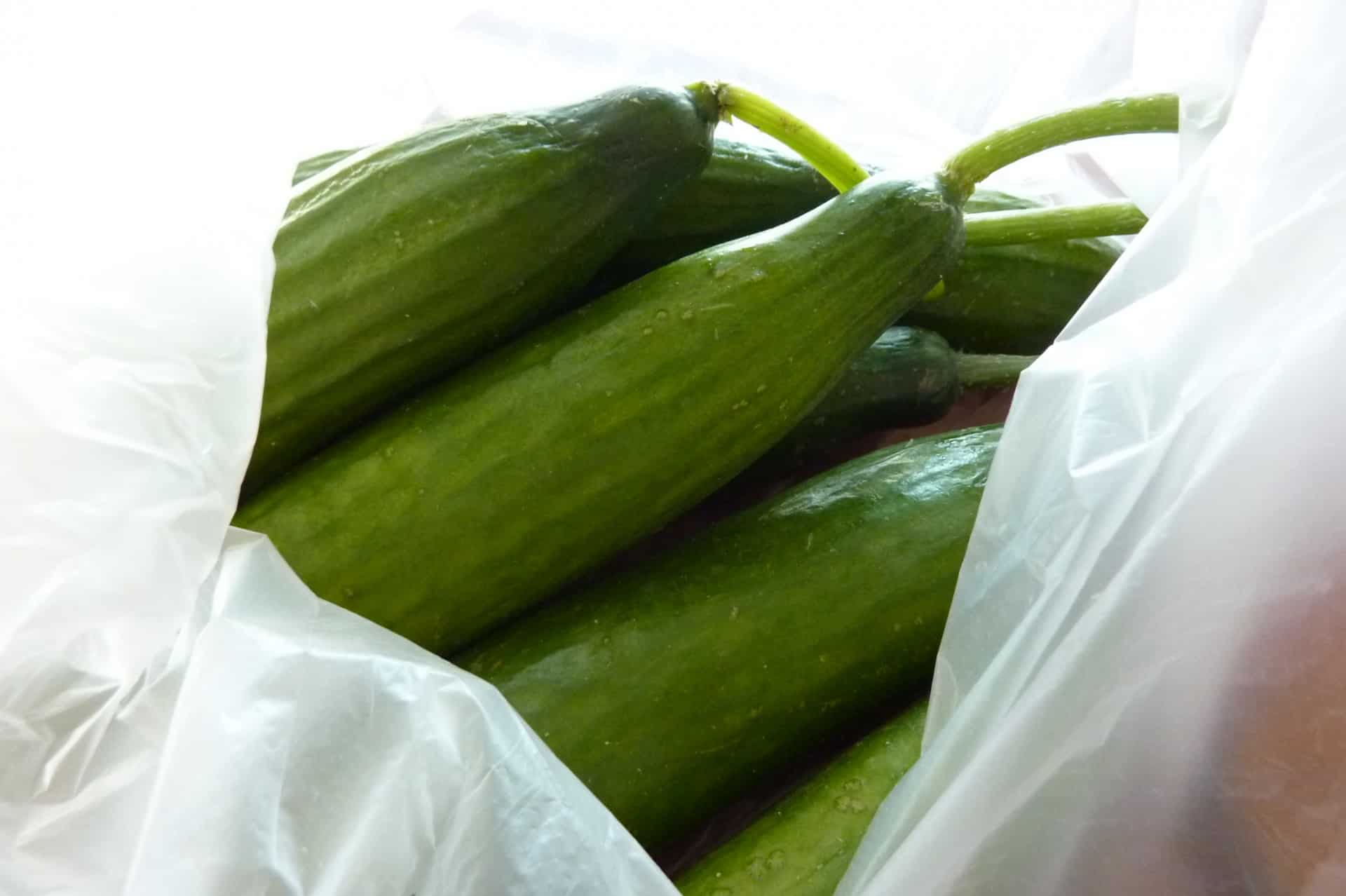 Lebanese cucumbers in bag