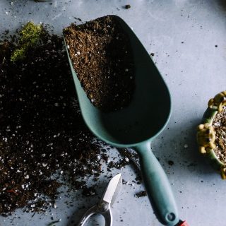 gardening shovel and soil