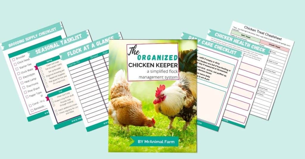 This image has an empty alt attribute; its file name is organized-chicken-keeper-alternate-Product-Mockup-Templates-for-Toolkit-1024x536.jpg