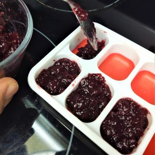 frozen jam in ice cube tray