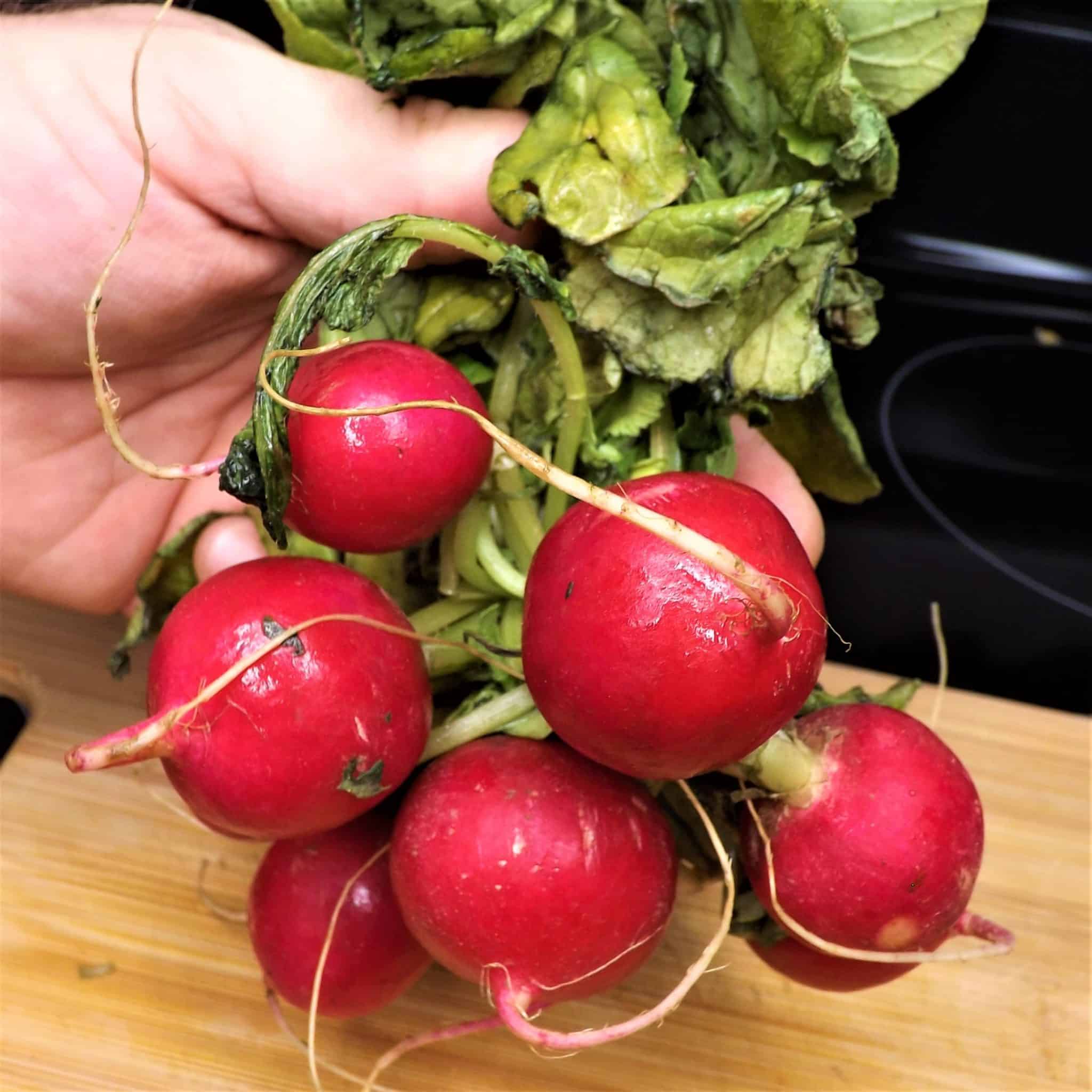 Can You Freeze Radishes? A Food Preservation Guide Mranimal Farm