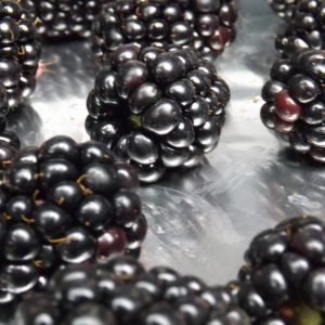 close up picture of blackberries on a cookie sheet