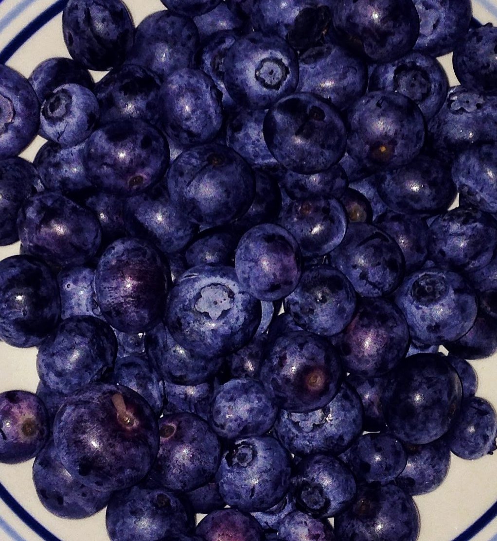 closeup of fresh blueberries