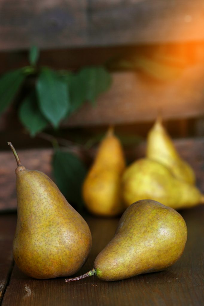 group of ripe pears lie on old planed wooden boards