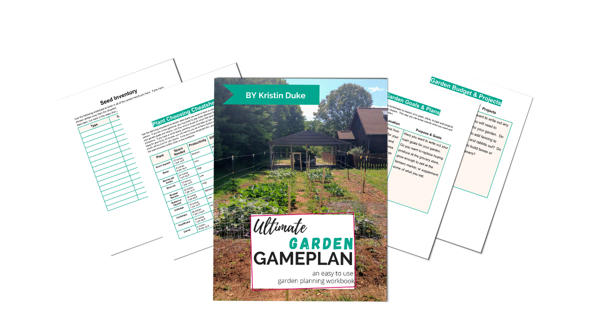 example pages from garden gamplan workbook