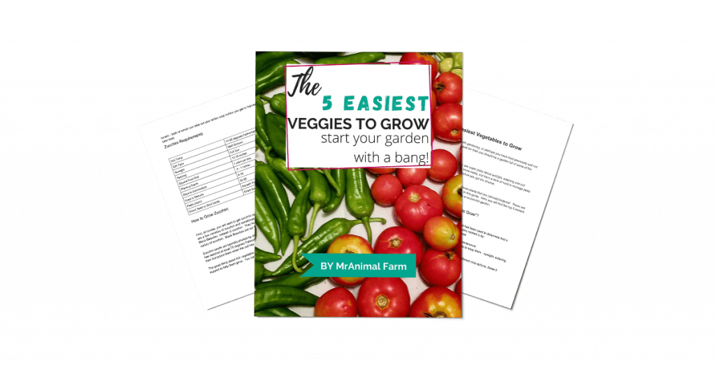 pages from 5 easiest veggies to grow guide