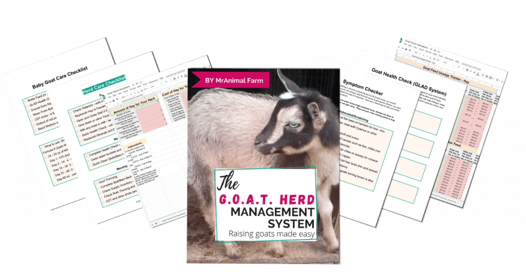 pages from goat herd management binder