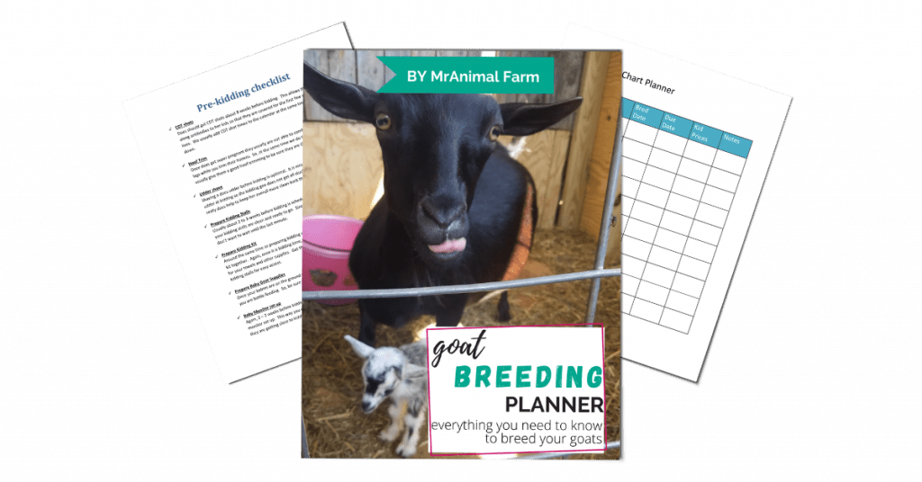pages from goat breeding planner