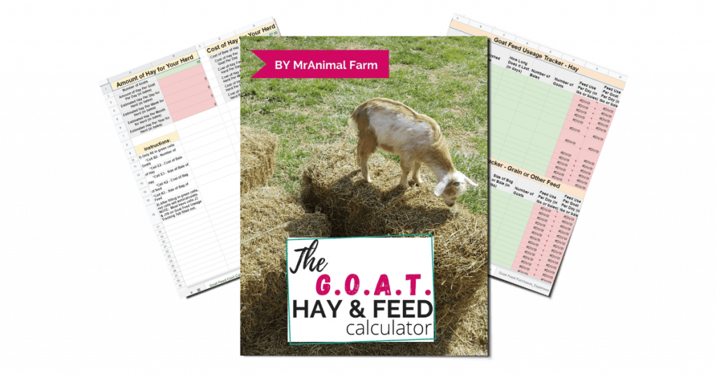 pages from goat feed calculators