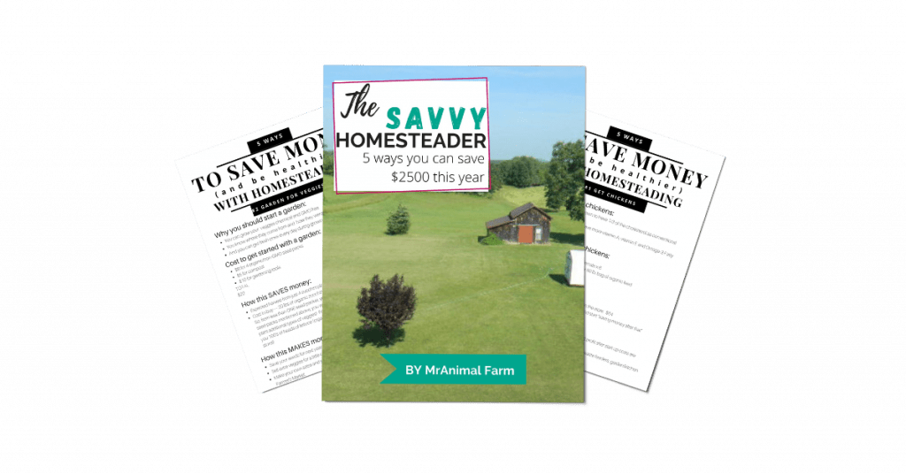 pages from save money homesteading guide