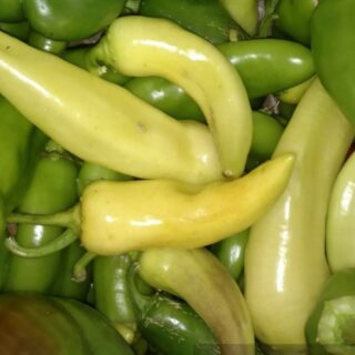 Closeup of Jalapeno and Anaheim peppers.